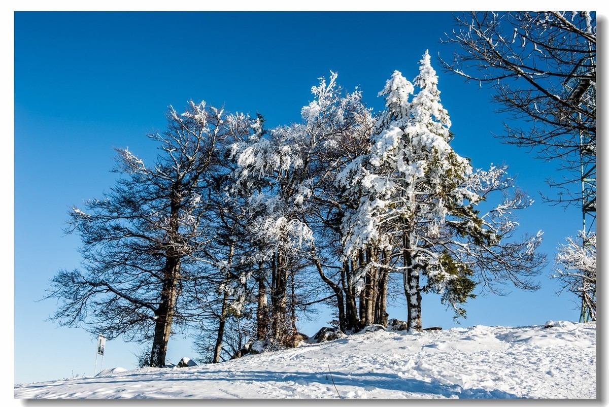 春雪飞舞兆祥瑞 诗词歌赋祝丰年