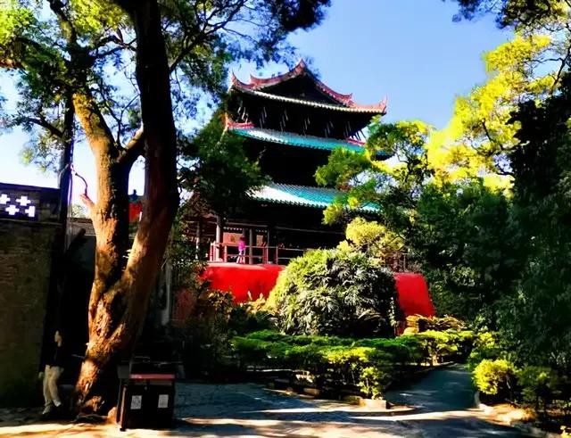 狗肉配酒，神仙不走，玉林配卖酒，佛祖心中有