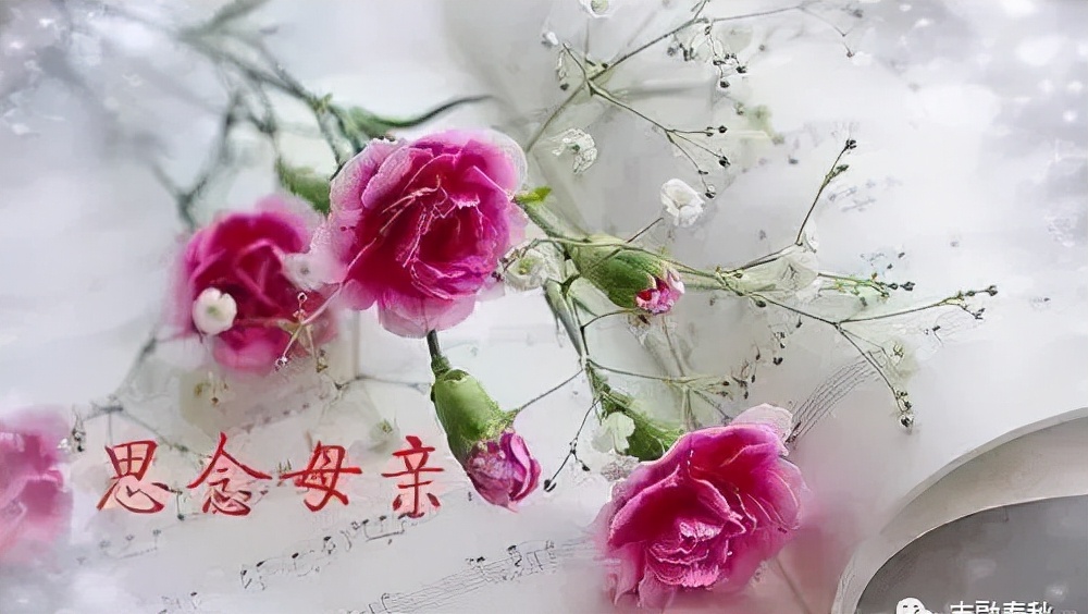 关于想念母亲的美文