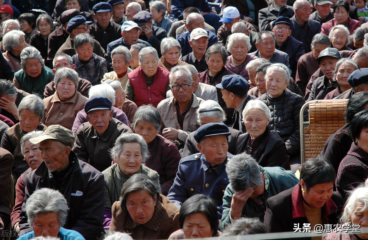 农村养老金发放标准,农村养老金发放标准是什么