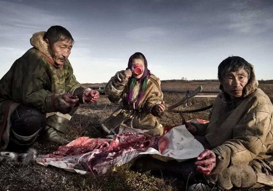 因纽特人的腌海雀堪比生化武器,臭到令人呕吐,为何被奉为美食?