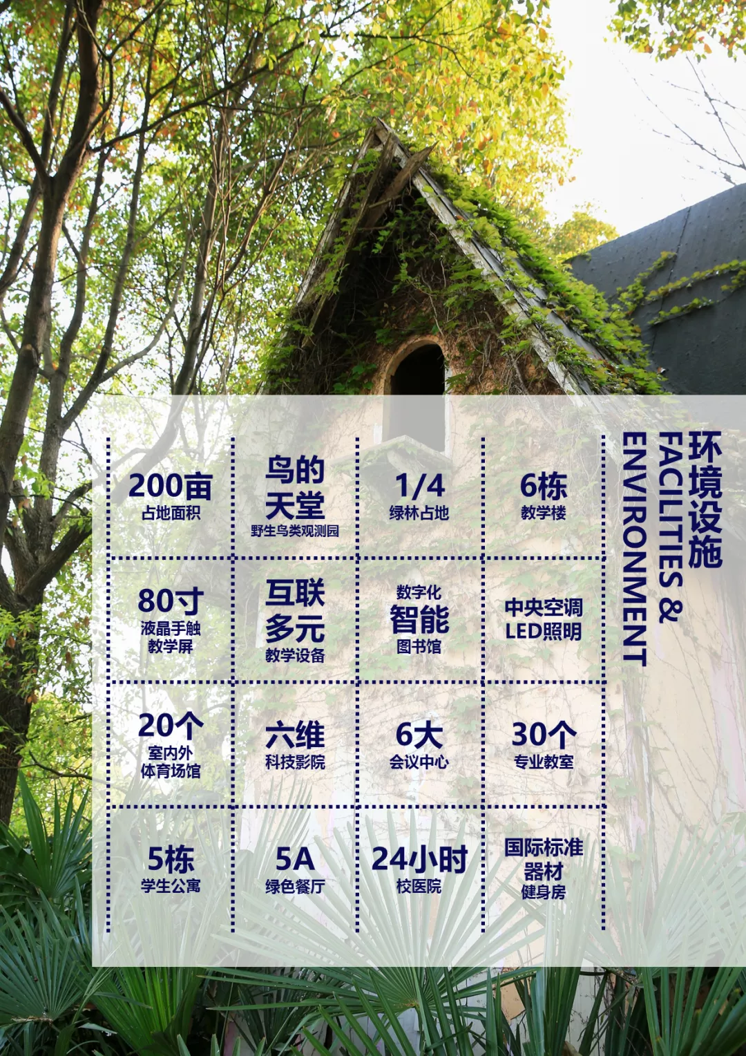 少量名额！上海热门双语学校插班入学信息，手慢无