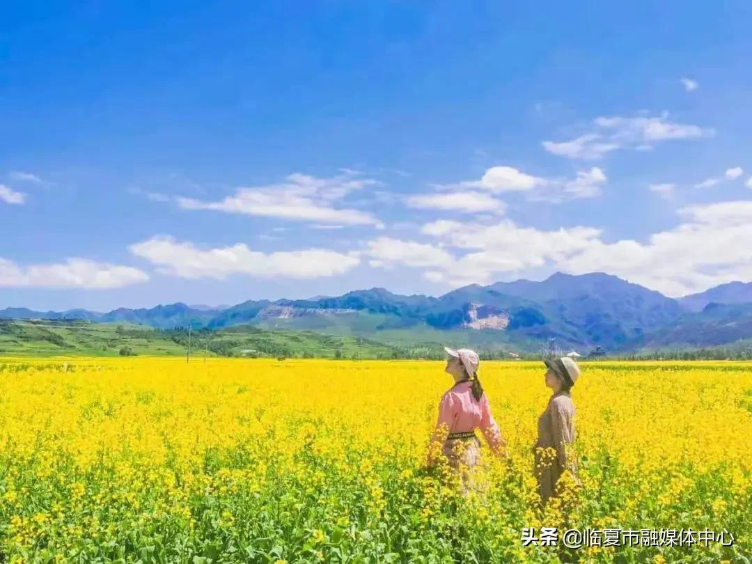 大家知道“花儿临夏•在河之州”的寓意吗？小编带你一起了解