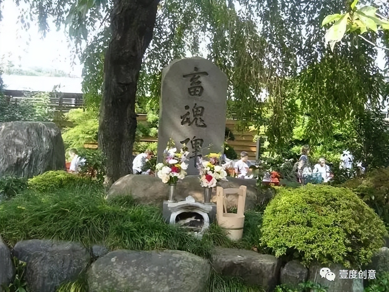兩個(gè)日本農(nóng)場(chǎng)教會(huì)你，養(yǎng)豬農(nóng)場(chǎng)如何變身萌豬樂園
