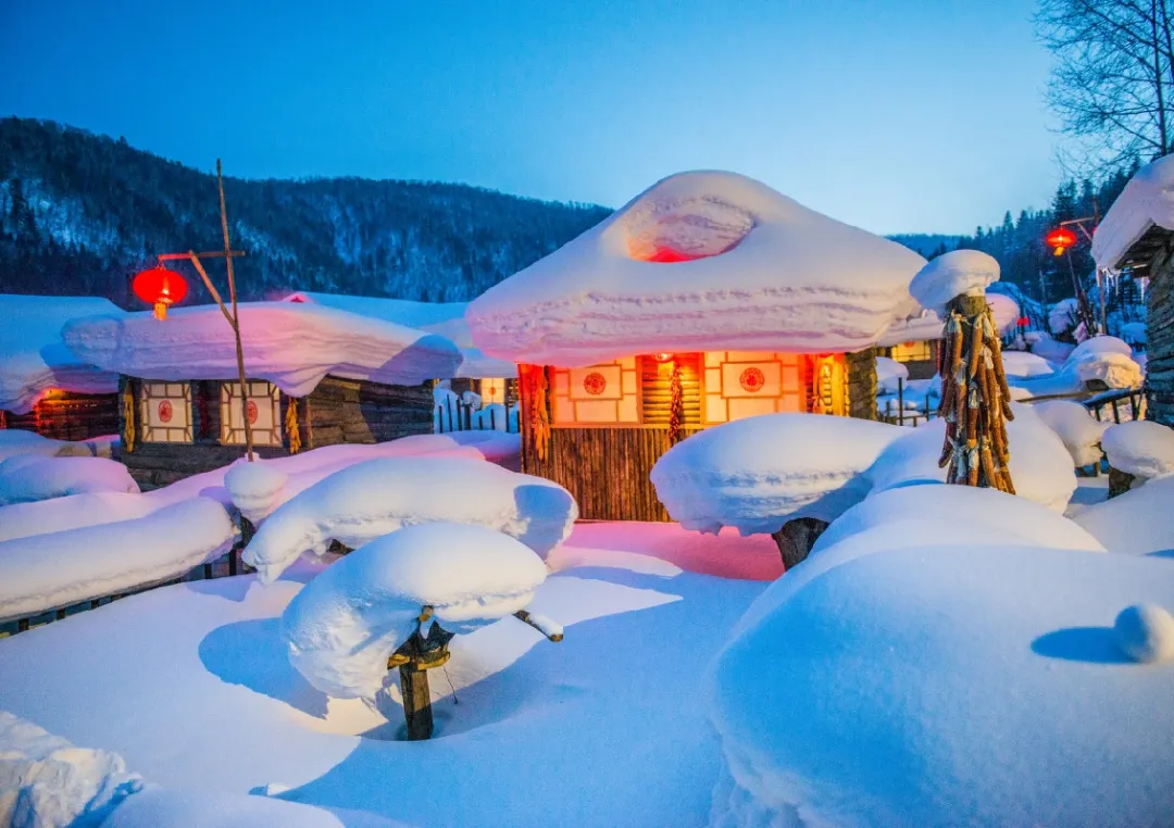 终不负约!冰雪大世界开园!雪乡恢复开放!梦幻大东北又回来了