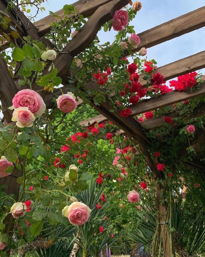 关于藏头诗中‘我喜欢你’怎么说