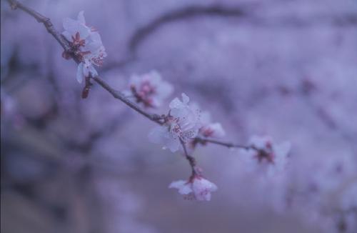 战胜内卷，拒绝躺平！高考作文参考范文《担大义，圆梦想》