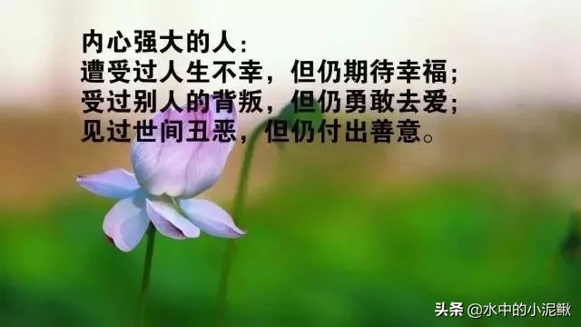 每日精选12句心灵鸡汤，早安正能量经典句子