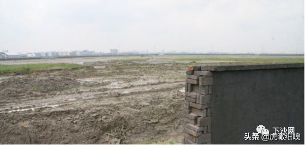 杭州下沙大学城北历史、现状及未来趋势的深度分析