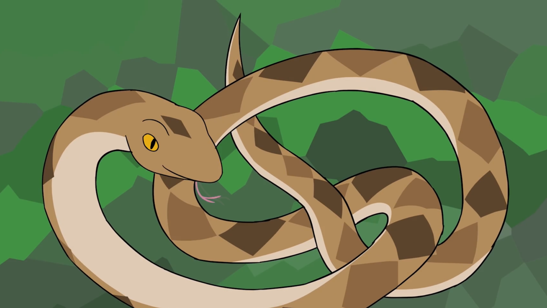 你听说过一里菜花蛇,十里无毒蛇吗?