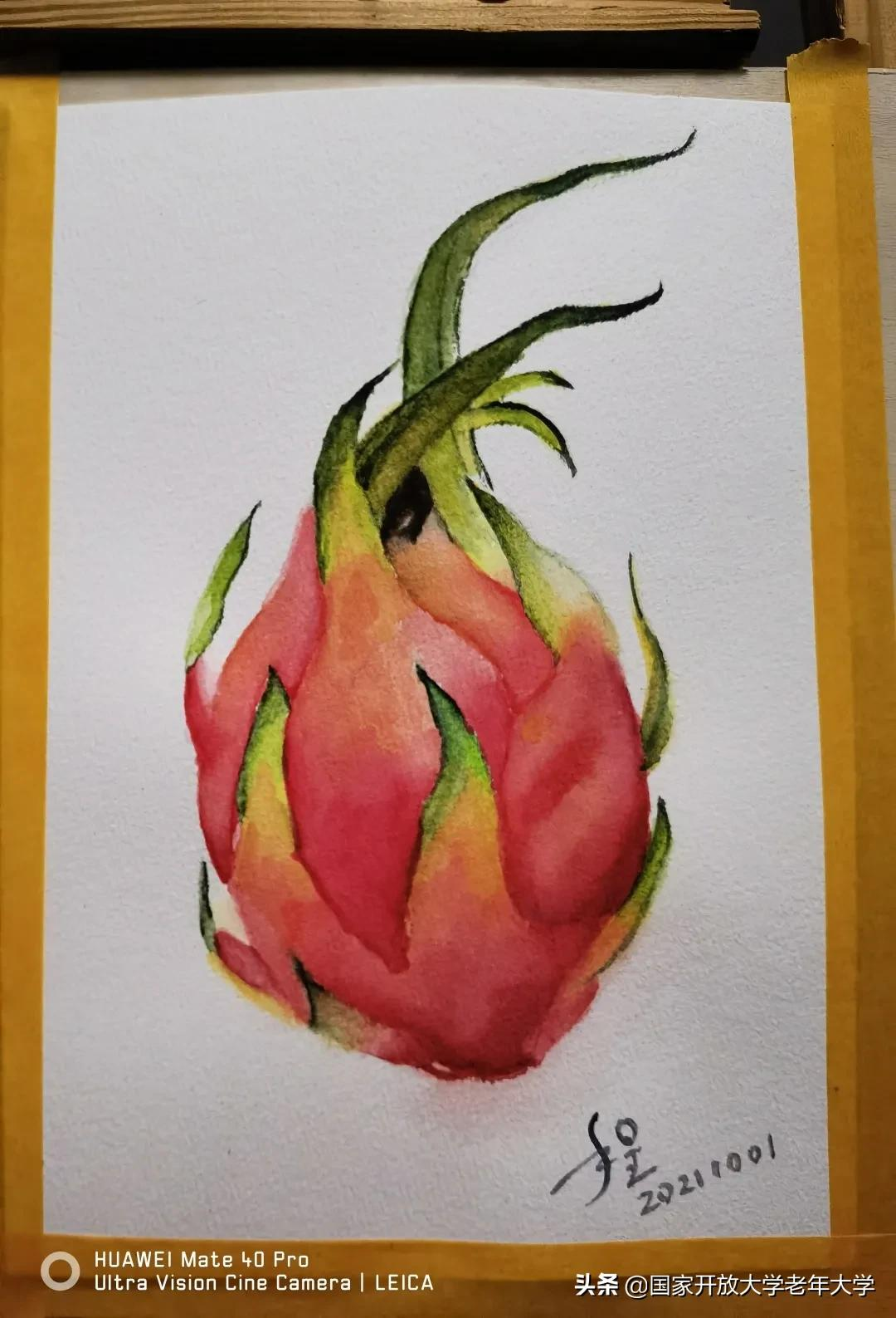 在校园·良作 | 水彩让我们的青春重新绽放——水彩画初级班学员作品