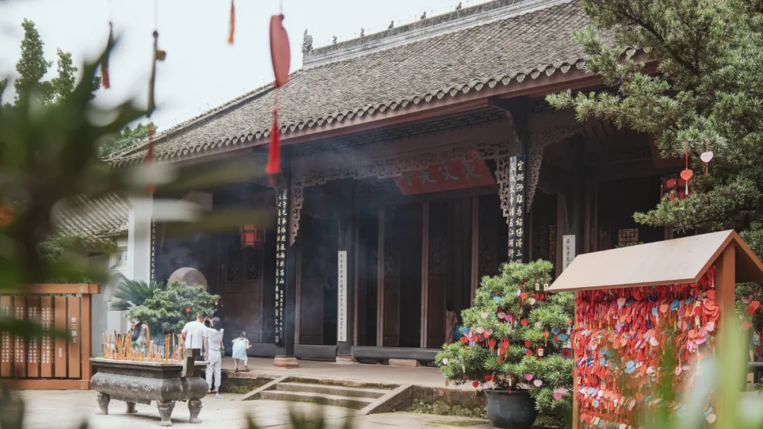 中国最会“泡”的城市在哪里？