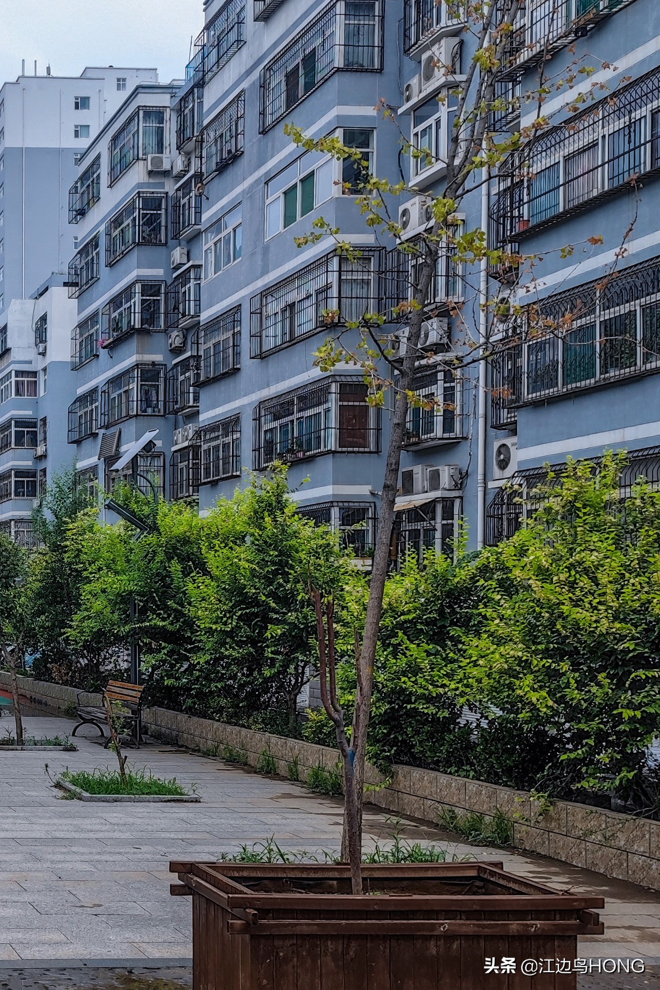 小米11 Ultra照片画质及拍片中的几个问题