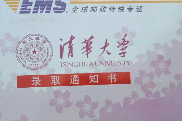 儿子立志要考清华北大，妈妈却在一旁无情嘲讽：你能考上猪都上树