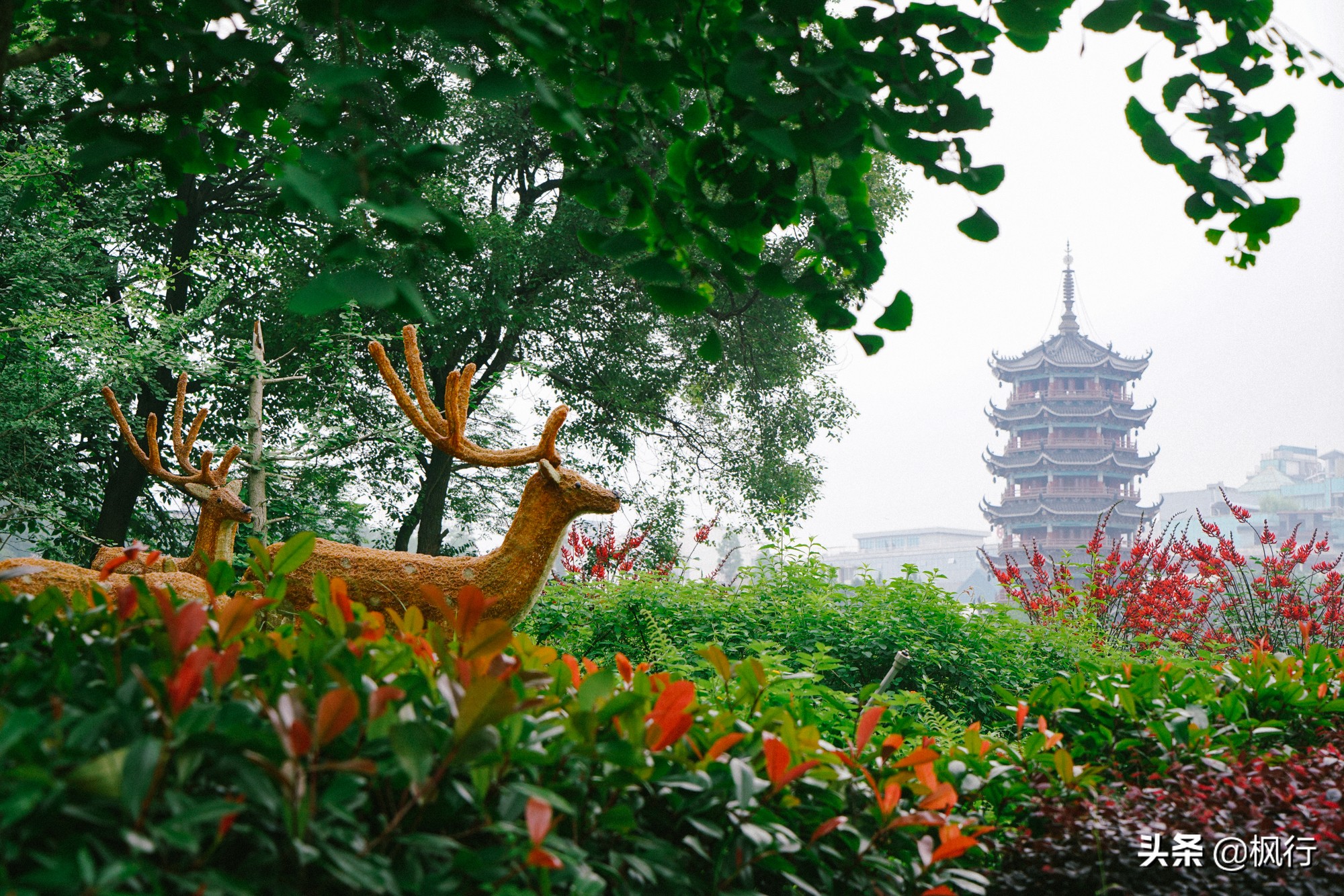 桂林和阳朔，可不是一个地方哟！1天的桂林市区怎么玩？附攻略