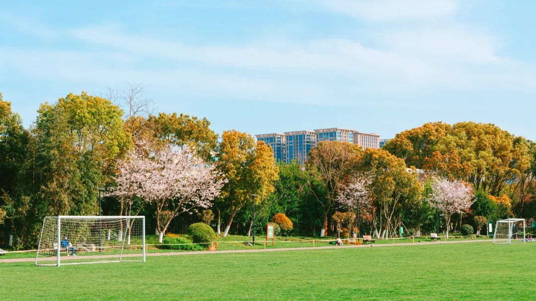 芳菲四月，花“漾”舟山，这份全岛赏花攻略 踏春路线请收好~