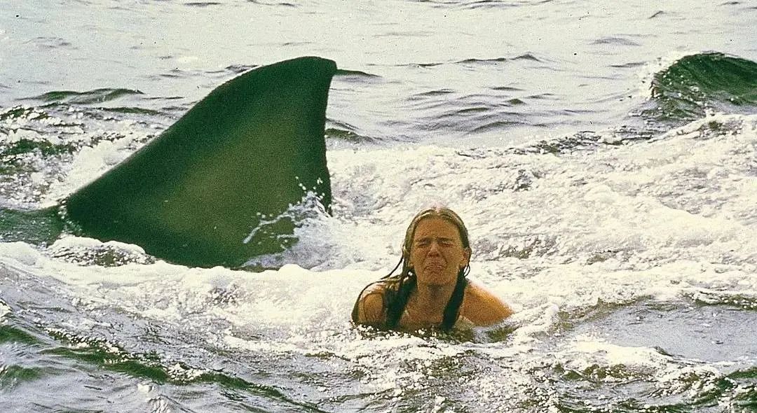 《大白鲨》和1975年之夏