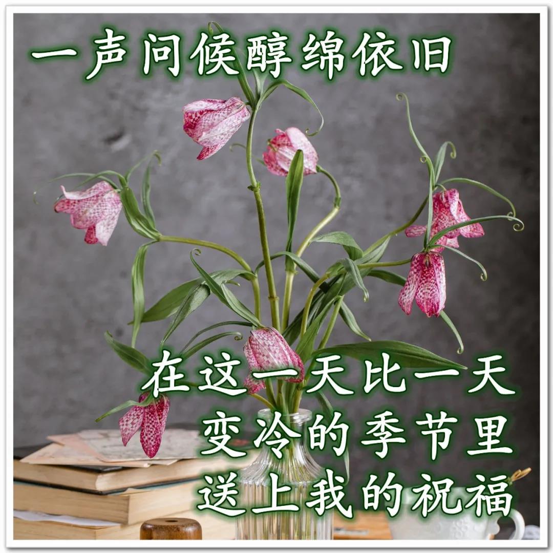 心素如简,人淡如菊.君子相交,随方就圆,无处不自在.