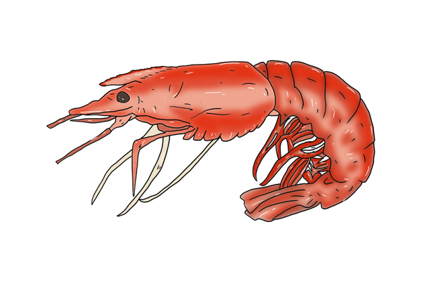 藏在食物中的寄生虫，有几种食物寄生虫容易“超标”，要少吃