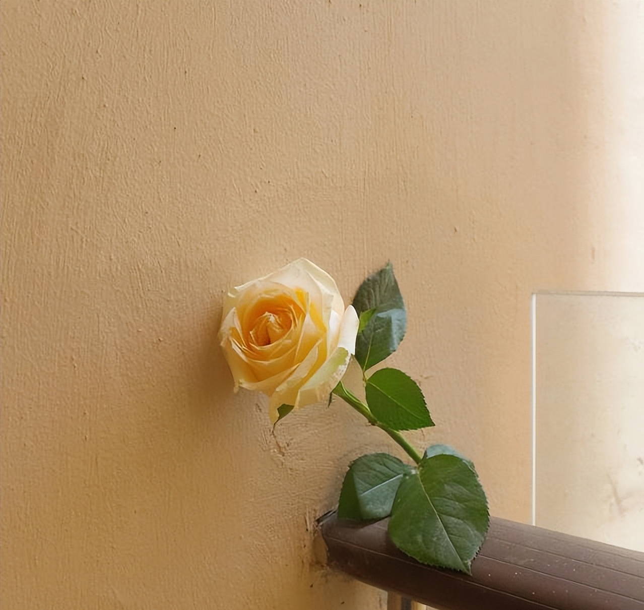 其实，男人越是深爱你，越不会“对你好”