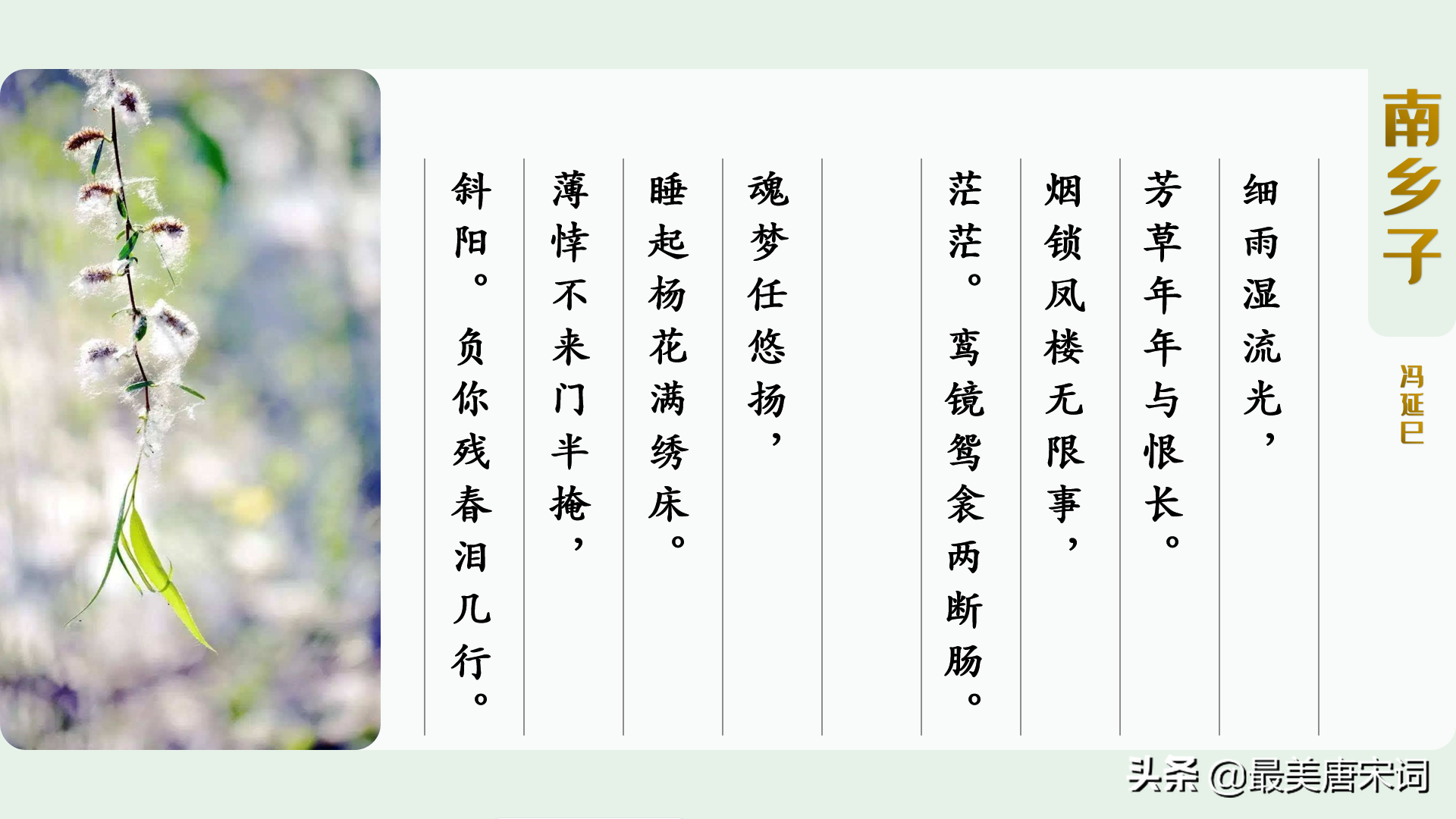 诗词里的春有百花 | 10首词感受10种花（唐五代部分，附深度解读）