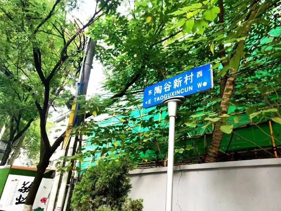 去逛去逛，南京老街巷悄悄在“翻红”