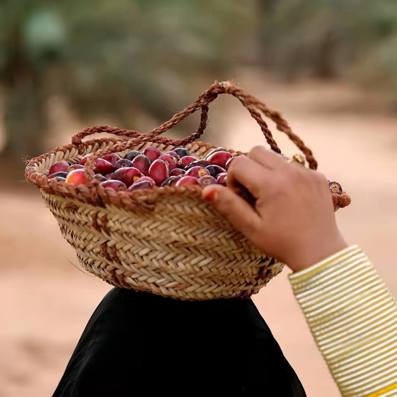 巴基斯坦椰枣价格大跌了巴基斯坦椰枣多少钱一斤