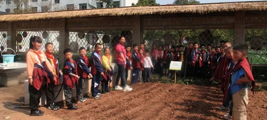 天府新区三星小学特色劳动课堂