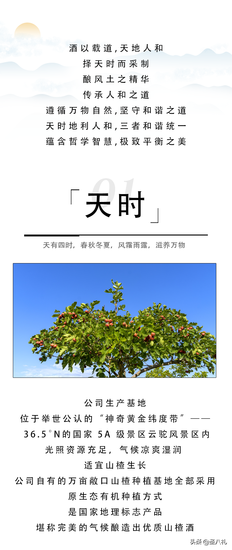 ʥ����ɽ髾� | ����˺� ��������