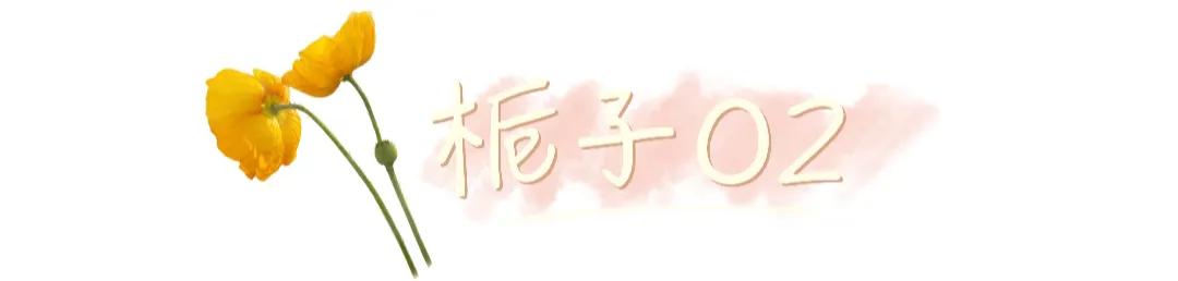 这六所师范类院校，毕业就有工作岗位，你愿意让孩子去吗？