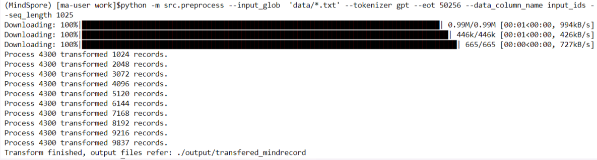 盘古α模型数据集生成以及训练初始化问题解决方案