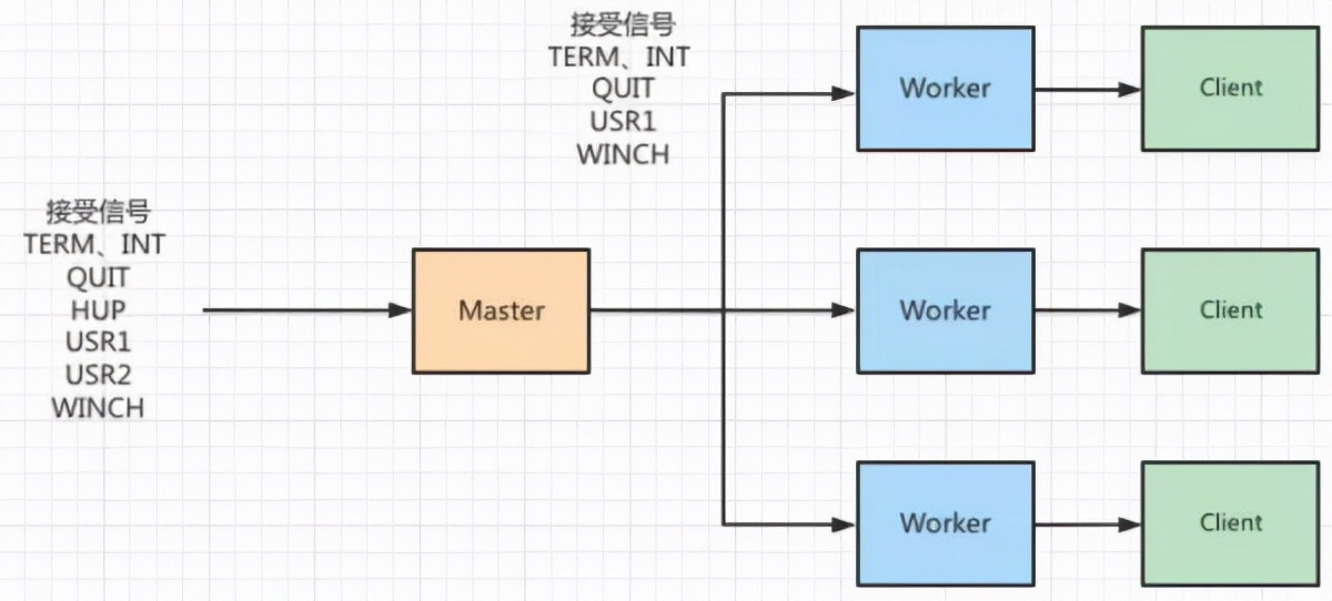 最近和 Nginx 杠上了