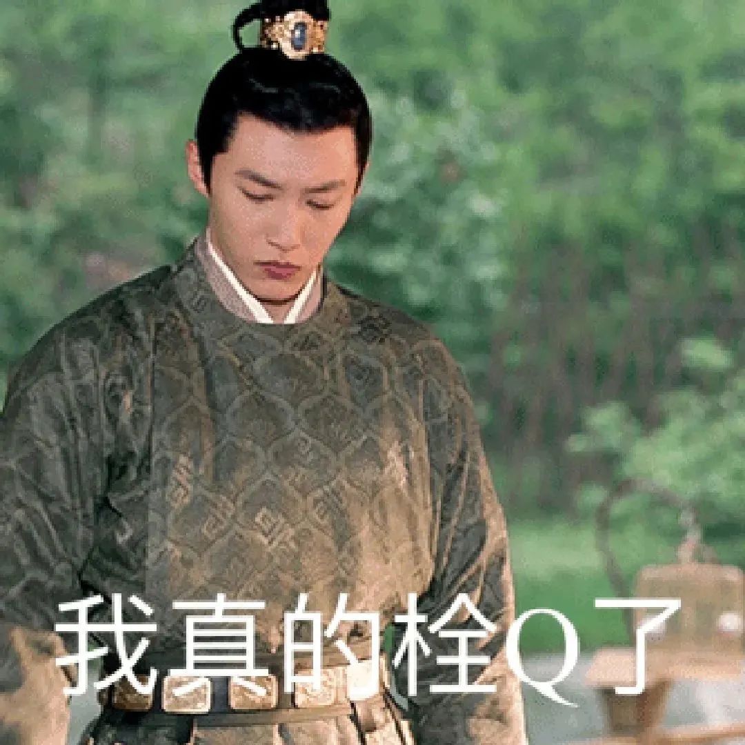 梦华录刘亦菲表情包