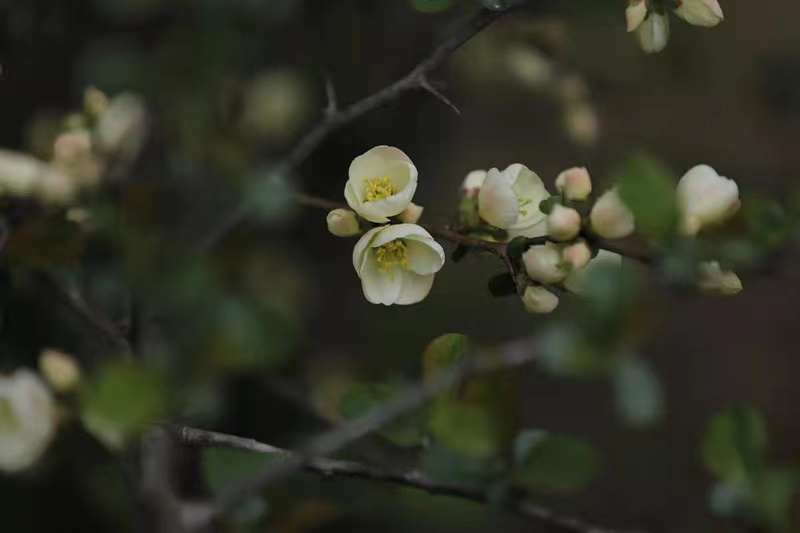 好句子不在多，《菜根谭》里最通透的20个句子