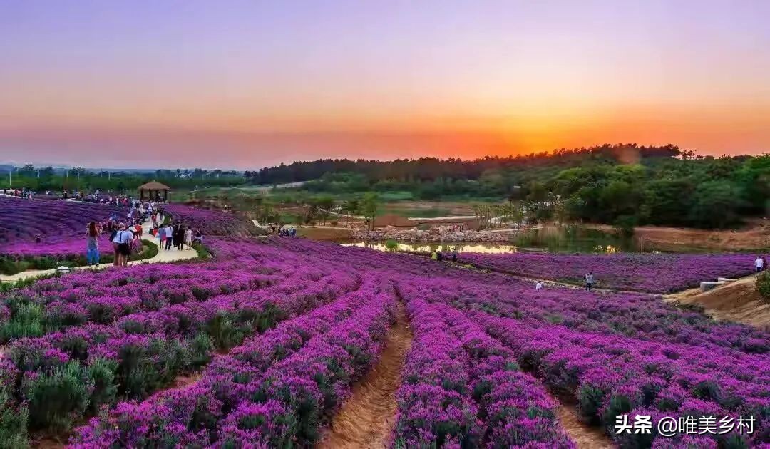 实施乡村休闲旅游提升计划，开启“三次创业”，“钱”景在哪里？