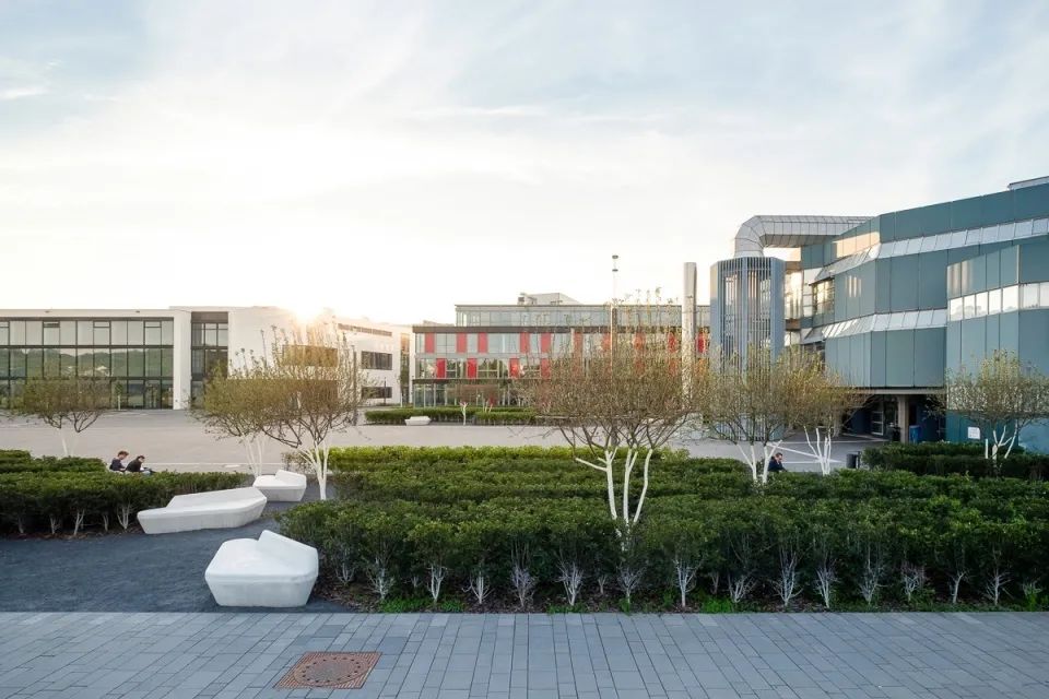 大学校园景观设计案例(校园景观)