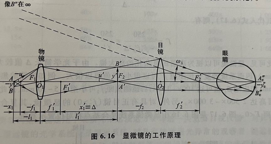 物镜目镜长短与放大倍数(显微镜的正确使用方法图解)