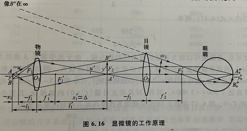 物镜目镜长短与放大倍数（显微镜的正确使用方法图解）