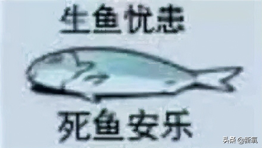 他俩都甜到被怀疑是绯闻变前任了，怎么还有人注意到她肚子没收住