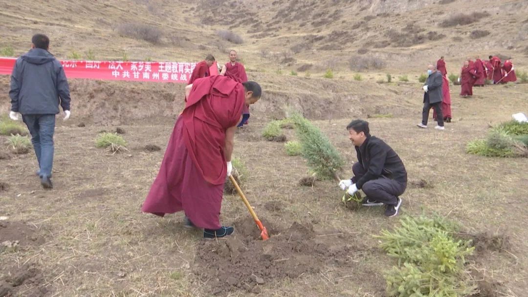 州委统战部在术布乡江可寺开展“绿色寺庙 美丽家园”植树活动