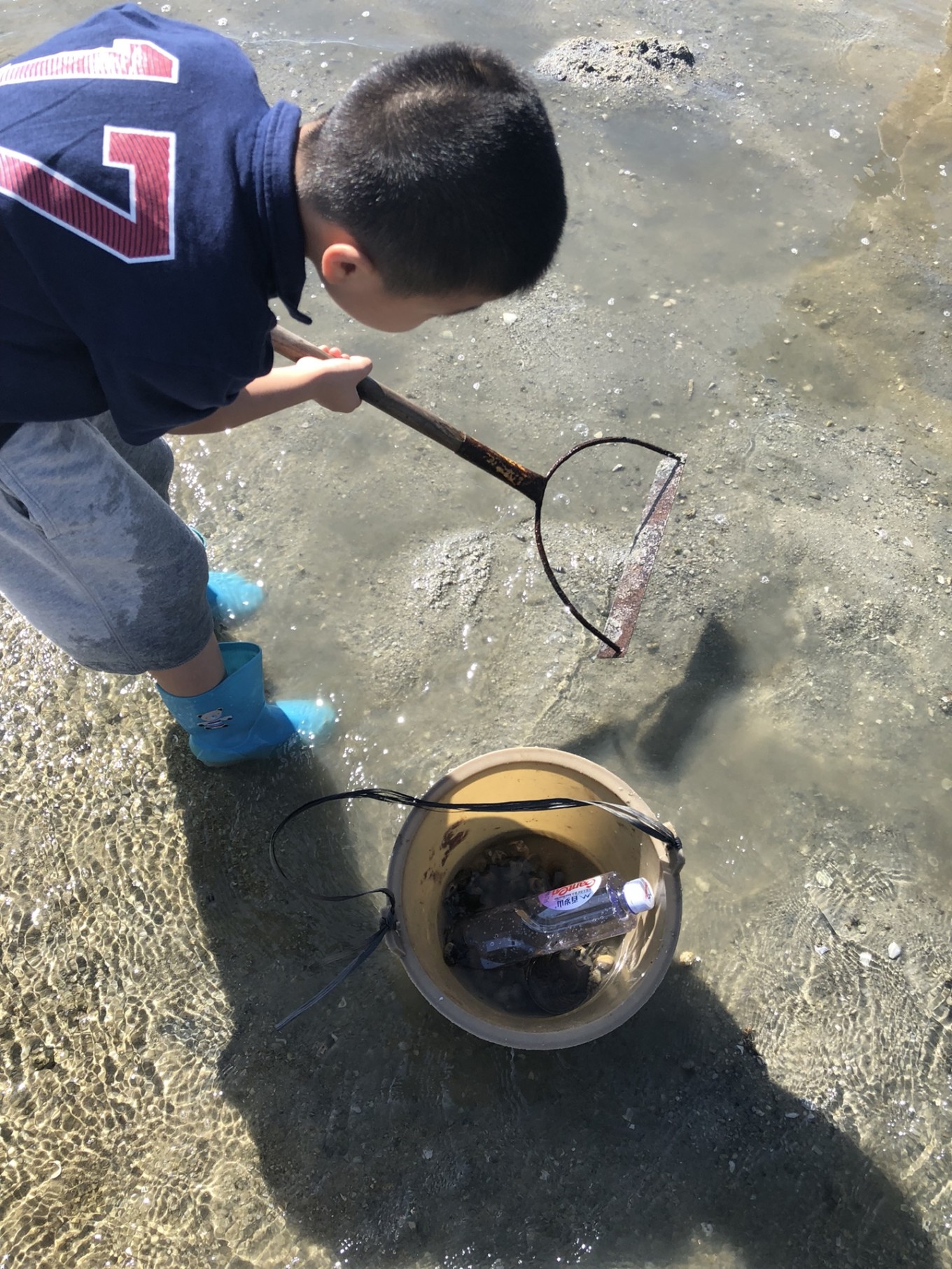 涠洲岛在哪个城市  涠洲岛旅游攻略