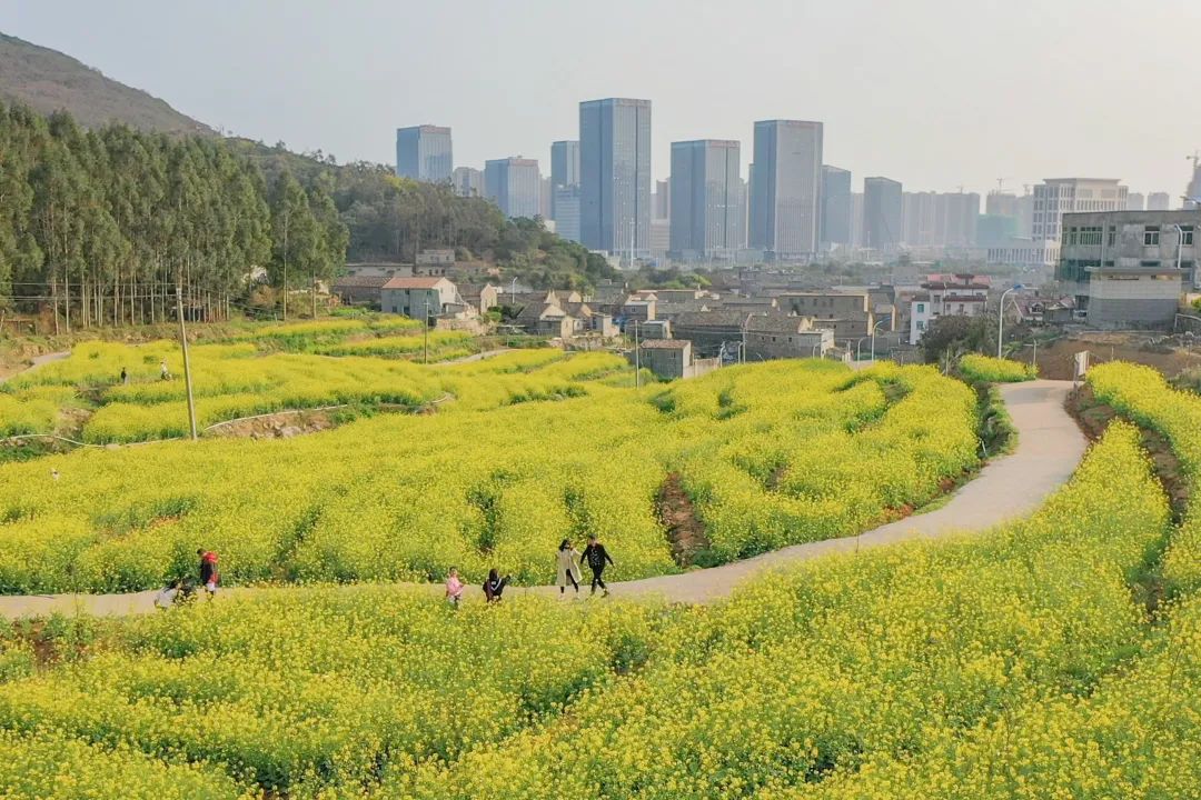 陌上花开春正美，跟着赏花地图“趣”打卡！