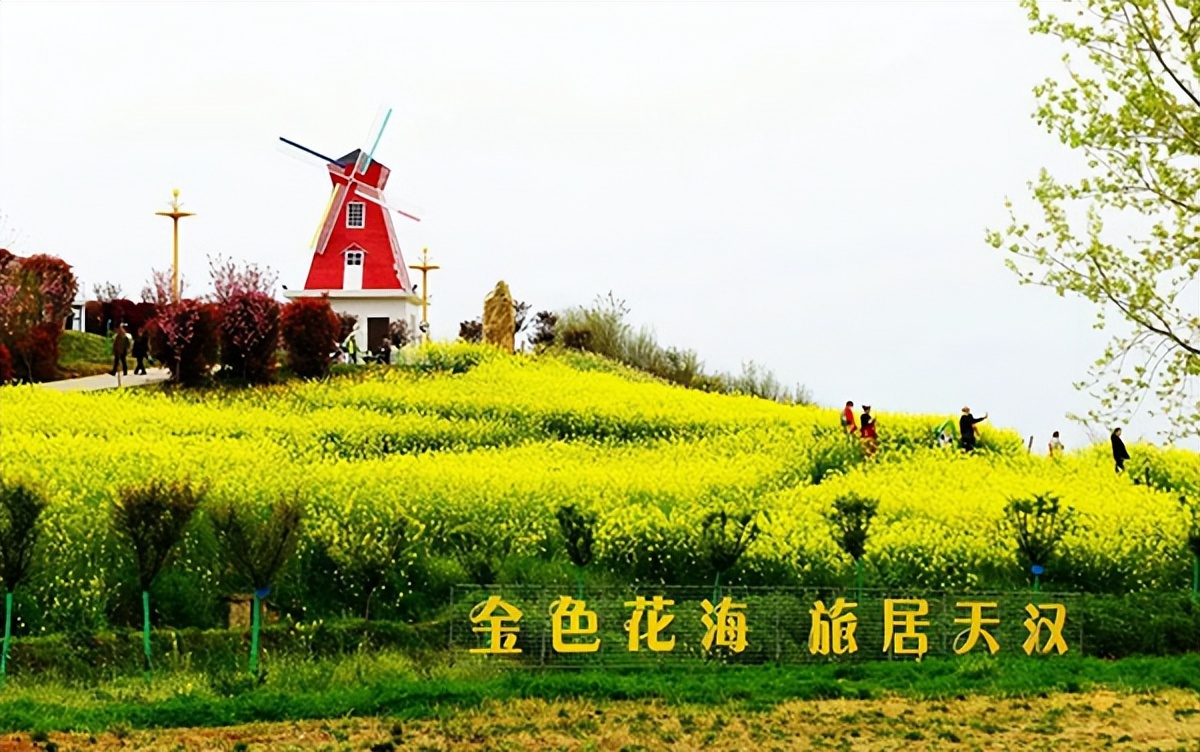 送你一朵油菜花 漢臺白、藍(lán)、綠三色文創(chuàng)口罩免費送