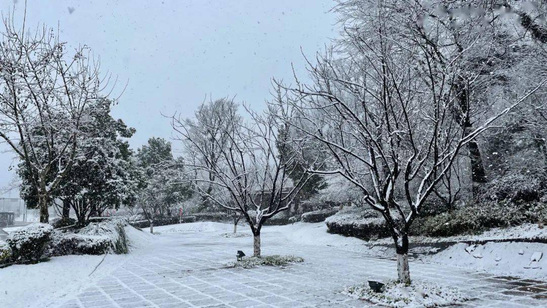 春雪飞舞兆祥瑞 诗词歌赋祝丰年