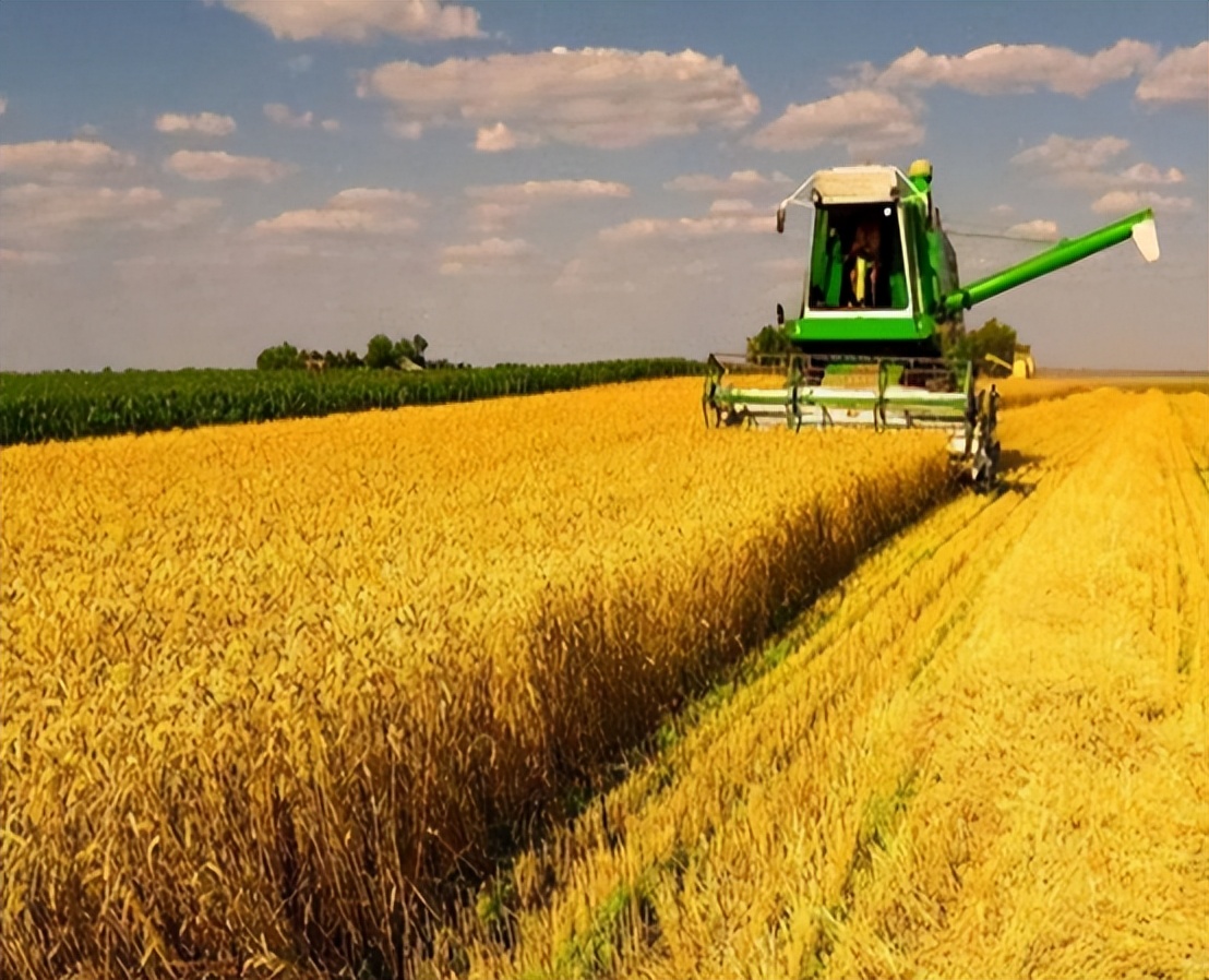 全球粮食自给率排名，法国第1美国第5，中国难道没有上榜？