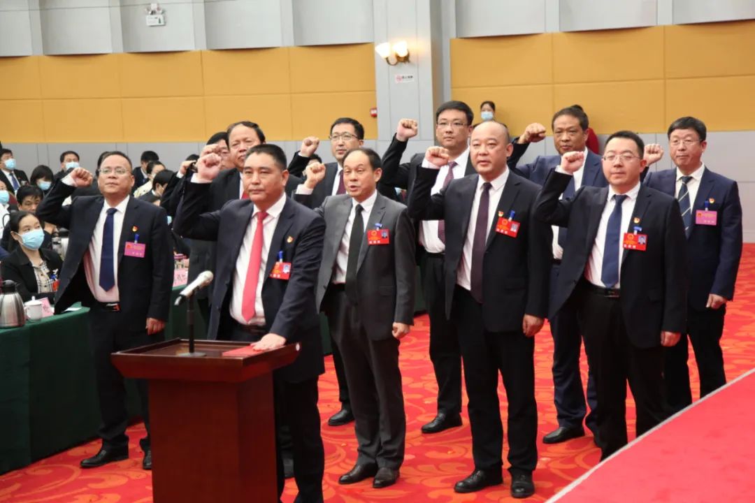 南阳两区选举产生区长、副区长、法院院长等领导干部