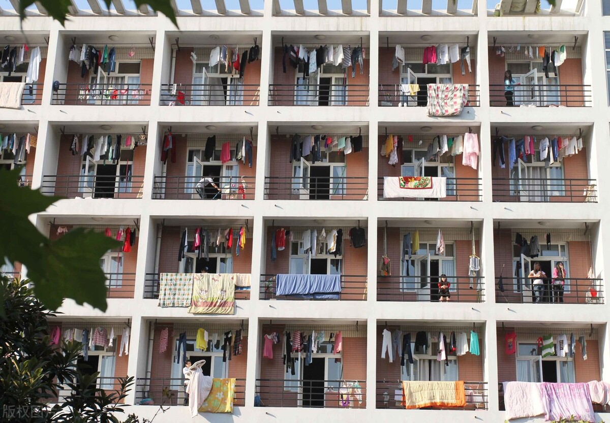 高职单招详解，解读5所走高职单招的优质学校，就业质量超高