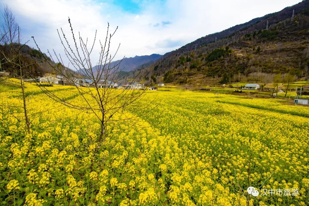 重磅！2022中國最美油菜花海漢中旅游文化節(jié)最全優(yōu)惠政策來啦！