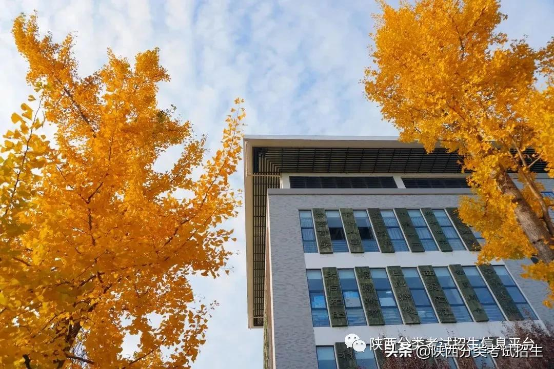 院校风采 || 走进“示范高职院校”—汉中职业技术学院