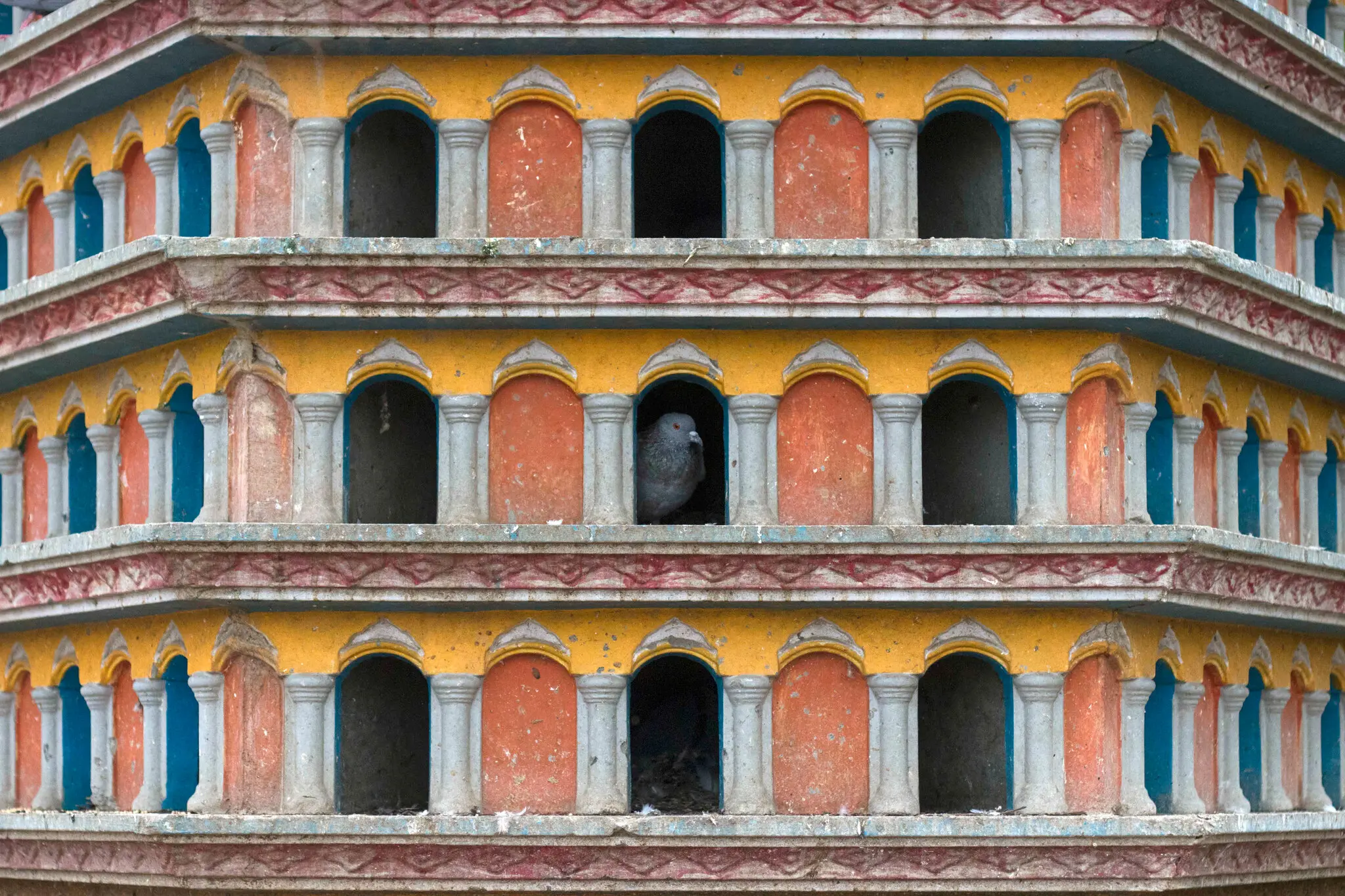 记录印度独特的鸟舍